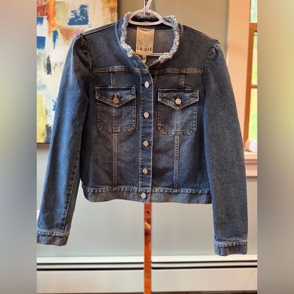 Rebecca Taylor La Vie Denim Jacket with Frayed Collar Size Large EUC - Picture 1 of 9